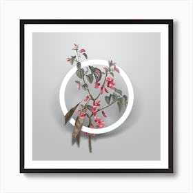 Vintage Judas Tree Minimalist Floral Geometric Circle on Soft Gray n.0357 Art Print