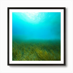 underwater nature 1 Art Print
