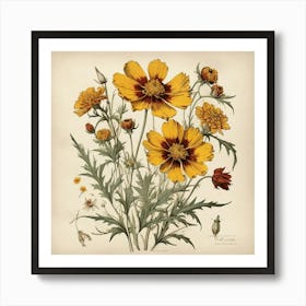 Coreopsis Wildflower Vintage Botanical Art Print 3 Art Print