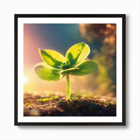 Small Green Plant Art Print