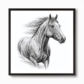 Horse Drawing Art Print