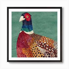Pheasant Square Art Print