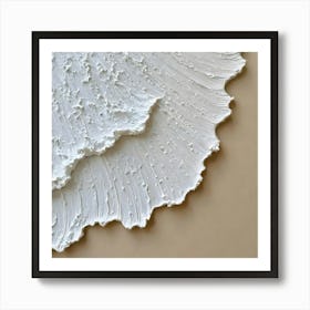 White Shells Art Print