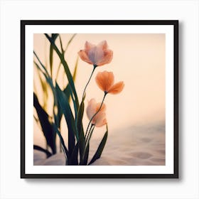 Dune Flowers No 1 Art Print