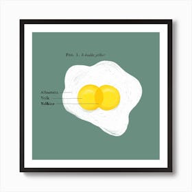 Double Yolker Egg Square Art Print