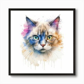 Suphalak Cat Portrait 1 Art Print