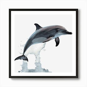 Dolphin Jumping Out Of Water Art Print