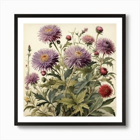 Asters Wildflower Vintage Botanical Art Print 1 Art Print