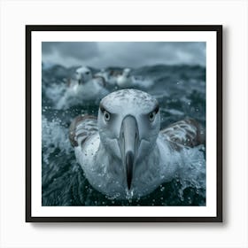Seagulls 1 Art Print