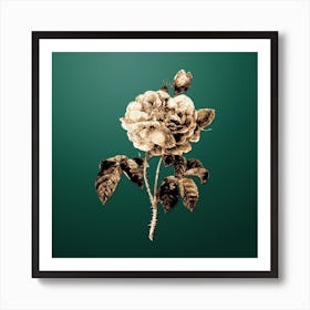 Gold Botanical Gallic Rose on Dark Spring Green n.3359 Art Print