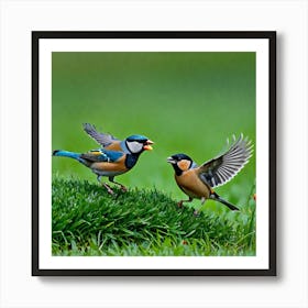 Two Birds In Flight Art Print