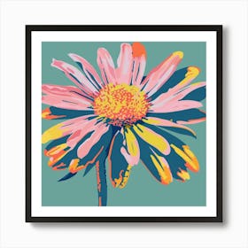 Gaillardia 1 Square Flower Illustration Art Print