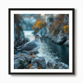 Seagull In Autumn Art Print
