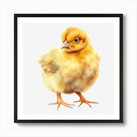 Chicken 8 Art Print