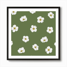 Dainty white flowers Art Print