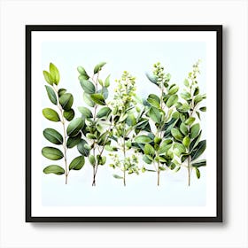 Eucalyptus beuty Art Print