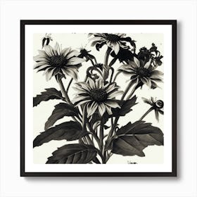 Sunflowers And Bees Black Eyed Susan Wildflower Vintage Botanical Art Print Art Print