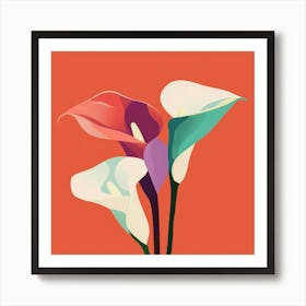 Calla Lily 5 Art Print