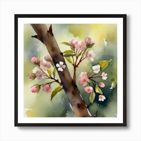 Watercolor Of Apple Blossoms Art Print