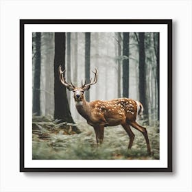 Deer In The Forest 1 Art Print