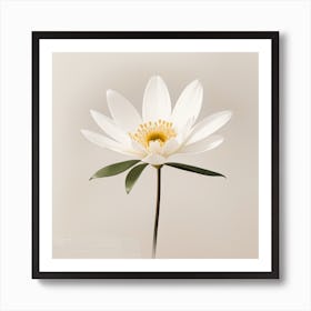 Flower Art Print