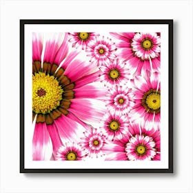 Pink Daisies 1 Art Print