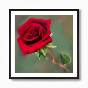 Red Rose Art Print