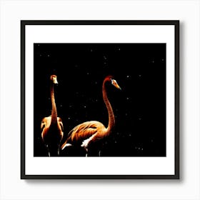 Flamingos Art Print