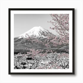 Charming View Of Mount Fuji During Cherry Blossom In Colorkey Art Print