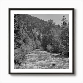 Willamette National Forest, Lane County, Oregon, Salt Creek By Russell Lee Art Print