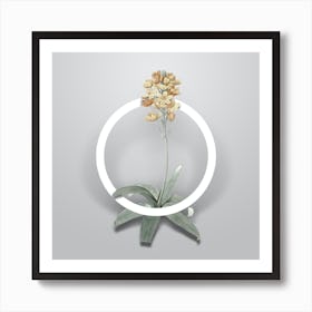 Vintage Sun Star Minimalist Flower Geometric Circle on Soft Gray n.0138 Art Print