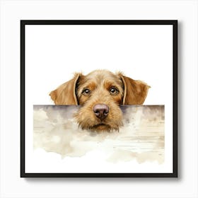 Wirehaired Vizsla Dog 3 Art Print