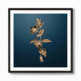 Gold Botanical Greater Periwinkle Flower on Dusk Blue n.4029 Art Print