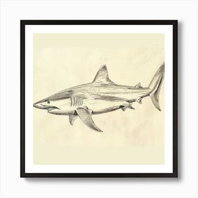 Vintage Shark Pencil Illustration 3 Art Print