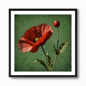 Poppies 5 Art Print