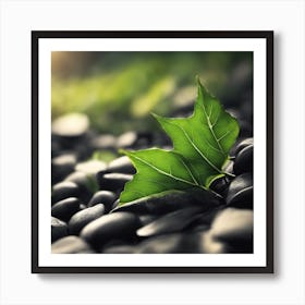 Green Leaf On Rocks Art Print