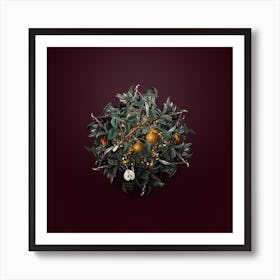 Vintage Seckel Pear Fruit Wreath on Wine Red n.0474 Art Print