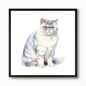 British Shorthair Persian Cat Portrait 1 Art Print