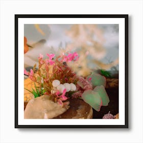 Sea Shells Stock Videos & Royalty-Free Footage Art Print