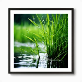 Grass Plant Reed Green Background Nature Closeup Garden Flora Growth Leaf Summer Spring (6) Art Print