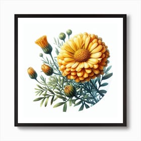 Flower of African marigold 1 Art Print