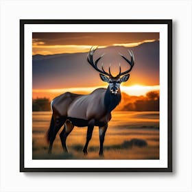 Elk At Sunset 2 Art Print