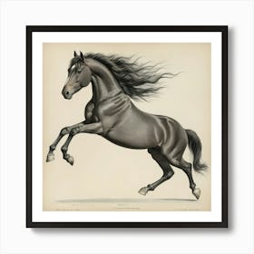 The Horse In Motion Animal Locomotion Art Print 0 Art Print