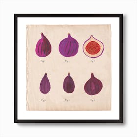 Fig Chart Square Art Print