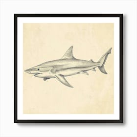 Blue Shark Vintage Illustration 1 Art Print