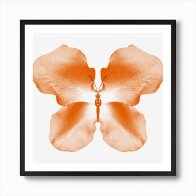 Orange Rose Petal Butterfly Art Print