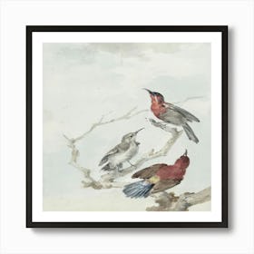 Three Birds Perched On A Branch Art Print