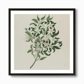 Lily Of The Valley 4 Art Print