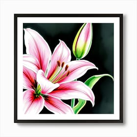 Pink Lily 11 Art Print