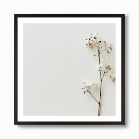 White Flower Isolated On White Background Art Print